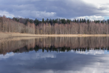 landscape with lake and forest
