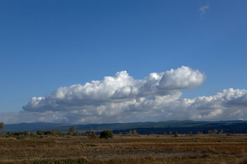 Obraz premium beautiful clouds formed on top of a land