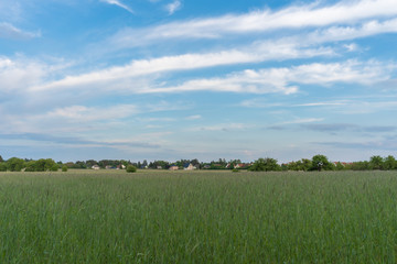 Dorf Thyrow in der Gemeinde Trebbin in Brandenburg