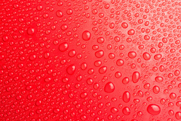 Droplets of water on a red, matte background illuminated with a delicate light.