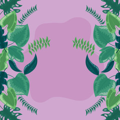 tropical leaves background