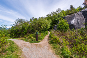 View at Mountain Trail in British Columbia, Canada. Mountains Background.
