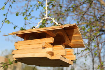 wooden bird feeder on a tree branch