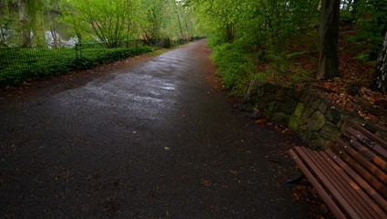 Obraz premium Spring Impressions from Seagulls Lake (Möwensee) in national park (Volkspark) Rehberge in Berlin-Wedding from April 28, 2015, Germany