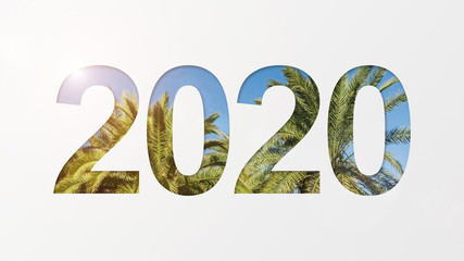 2020 over palm background
