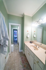 Light Green Jack and Jill Bathroom in a Suburban Home