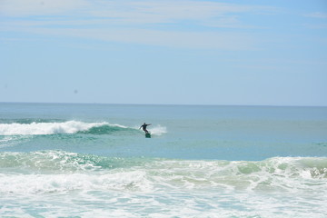 Fototapeta premium campeche - sc
