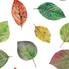 Seamless watercolor pattern. A set of leaves. Watercolor painted autumn leaves. Design element. Elegant leaves for art design. Hand painted leaves of different colors on a white background.