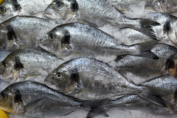 Fresh fish in a traditional market in Catalonia