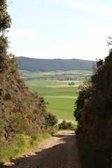 camino