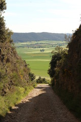 camino