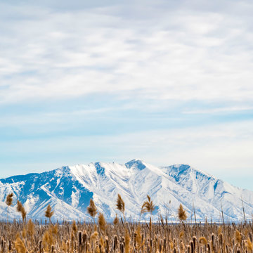 Square Vast Grassy Terrain Against A Rugged Mountain Covered With Snow In Winter