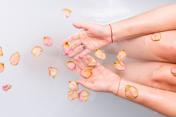 Female hands in water with pink rose petals