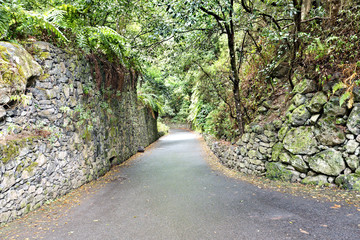 Entrance to the laurel forest Los Tilos on La Palma,