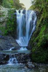 Obraz premium Waterfall in the forest, long exposure, north island, New Zealand.