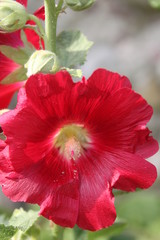 Photo of my stay in France