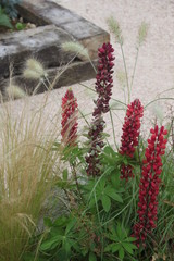 Photo of my stay in France