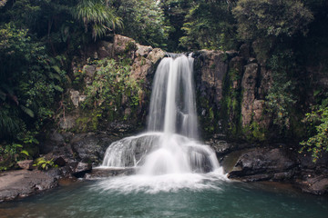 Obraz na płótnie Canvas Waterfall in forest, north island, New Zealand