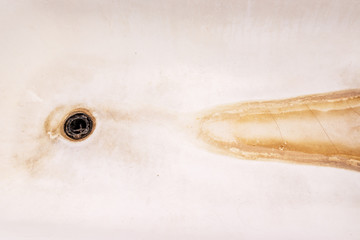 Extremely dirty bath drain mesh, hole and surface covered with limescale or lime scale and rust, cleaning calcified and rusty bathroom equipment concept