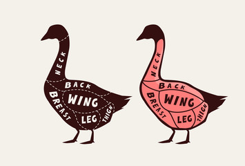 Fototapeta na wymiar Cut of meat, goose. Poster butcher diagram and scheme, vector illustration