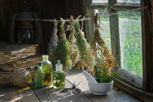 Tincture or infusion bottles, old books, mortar and hanging bunches of dry medicinal herbs. Herbal medicine.