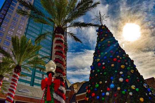 Orlando, Florida . December 24, 2018. Palm trees decorated for Christmas and Christmas Tree on sunset background in Orlando Downtown area