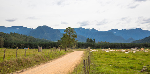 Montanha e vale com estrada de terra