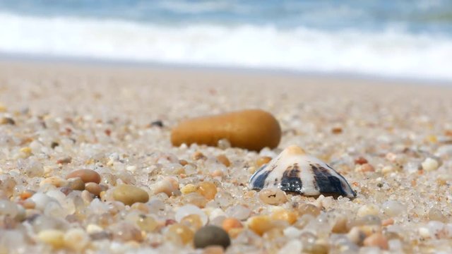 Closeup of seashell and pebble on the beach with waves breaking in background. Shallow depth of field.