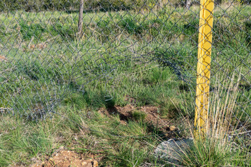 wire mesh fence deformed by immigrants at boundaries,
