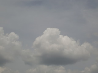 雲
