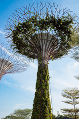 Singapore  Marina Bay Area is magnificent skyline includes many of the most recognizable landmarks.  Supertree grove,Flower Dome, Cloud Forest and Art Science Museum  are most recognizable landmarks.