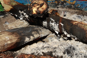 burning wood