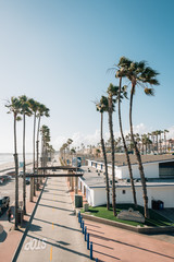 View of palm trees and street along the beach in Oceanside, San Diego County, California