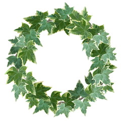 Green wreath made of common ivy with copy space