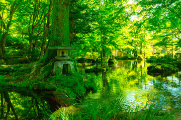 水辺と灯篭がある苔むした日本の庭園