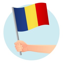 Chad flag in hand