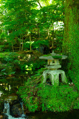 水辺と灯篭がある苔むした日本の庭園