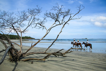 Randonnée à cheval sur la plage de Tamarindo au Costa Rica