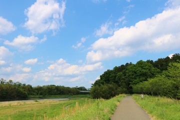 風景　道　森　橋　野原　思川　杤木