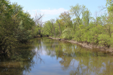 Fototapeta na wymiar North Branch of the Chicago River on a sunny spring day at Blue Star Memorial Woods in Glenview, Illinois