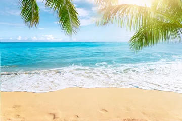 Gordijnen Zonnig tropisch strand met palmbomen en turquoise water, Caribische eilandvakantie, warme zomerdag © Mariusz Blach