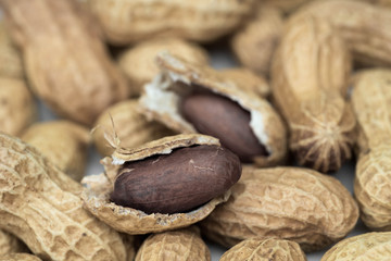group of peanuts macro