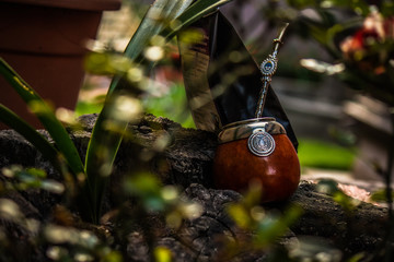 Matera de Guayusa © Daniel Navarrete