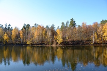 Obraz premium Autumn forest on the shore of a small pond