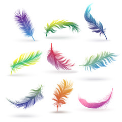 Fototapeta na wymiar WebSet of isolated bird feathers, colorful fluffy quills in rainbow color gradients