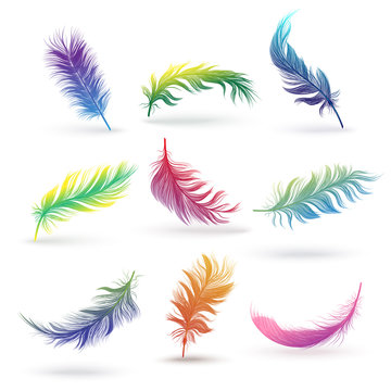 WebSet of isolated bird feathers, colorful fluffy quills in rainbow color gradients