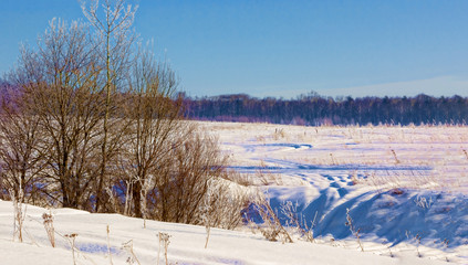 Beautiful winter landscape in the Moscow region.