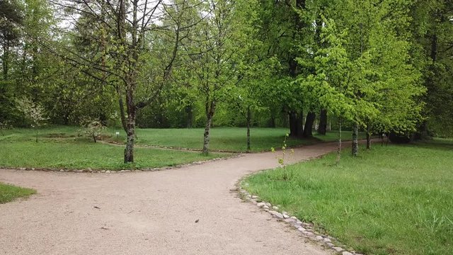 Spring at the I.E. Manor Museum Repina Zdravnevo