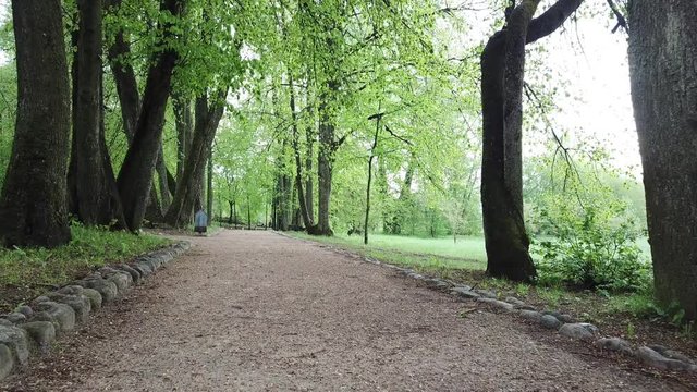 Spring at the I.E. Manor Museum Repina Zdravnevo