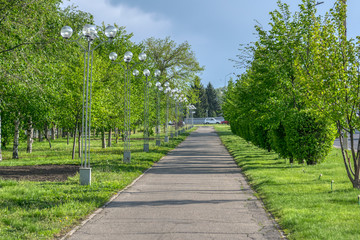 alley with green areas around the edges